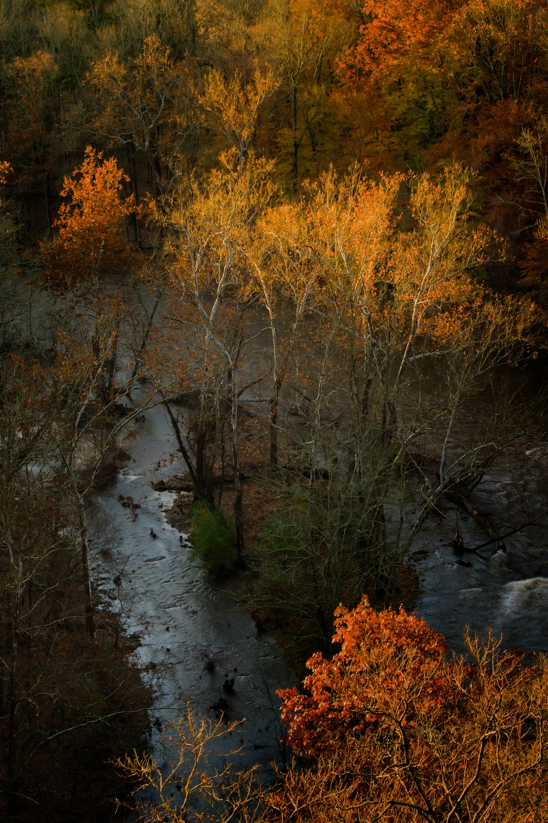 View b2047995f735e208a84bdbb8ebc67f74.jpg by joseph cole