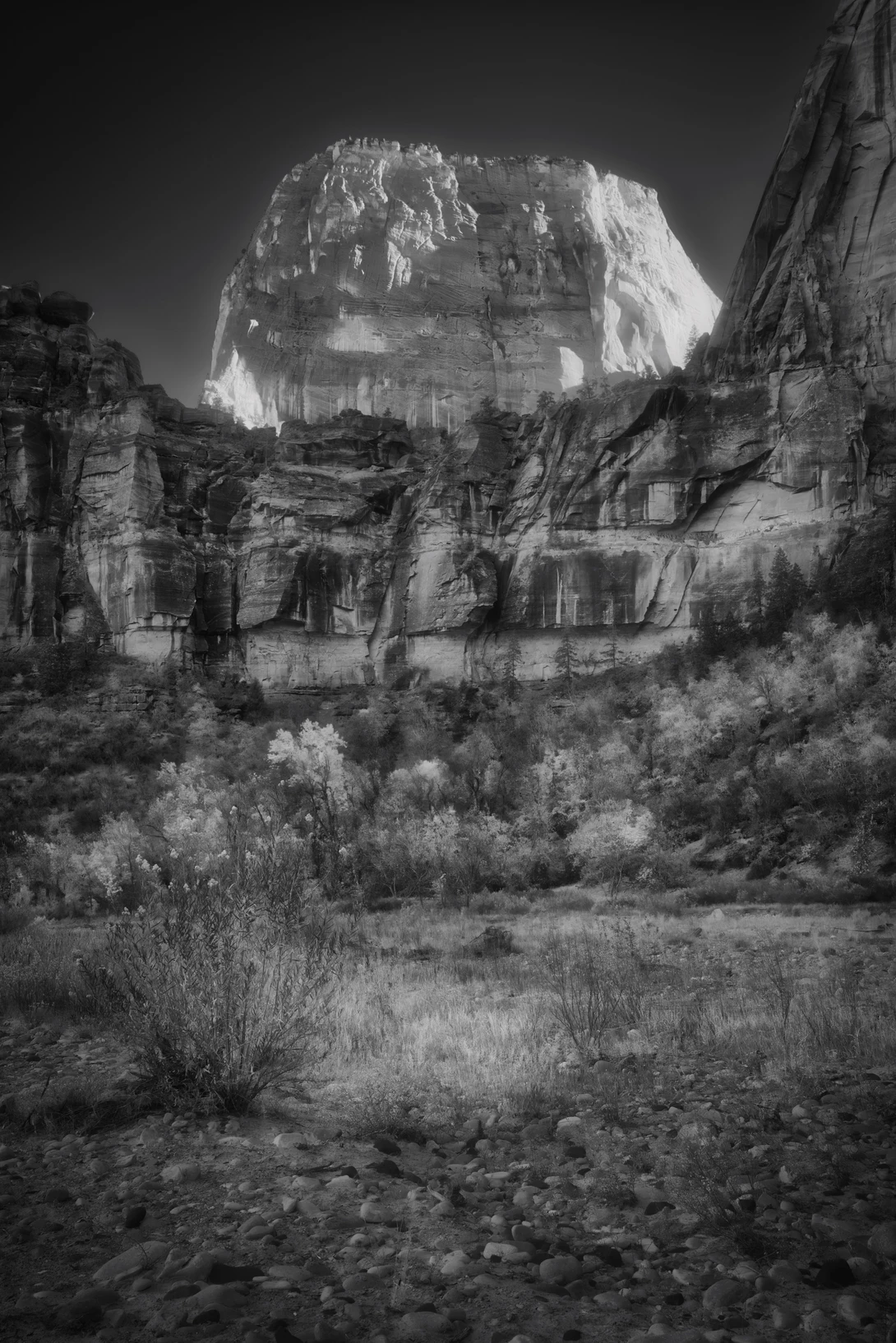 View 20e661c516ebdb7b0e66907734f85aa4.jpeg by Rob Bartlett