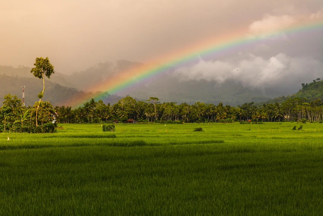 View 951ef99e420def609006c014f7501f01.jpg by Dika pamungkas