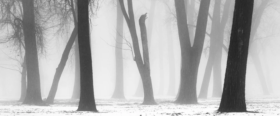 View 236be68477323e85779545012231fe8c.jpg by jason stuempges