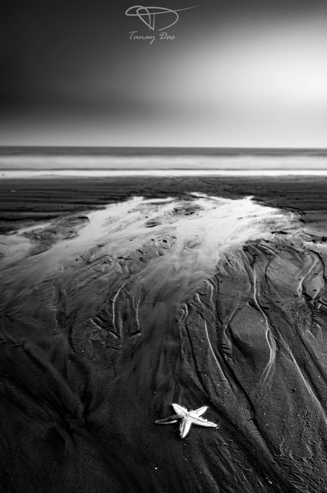 View 37b94104c37ef23047033021cbcdea5e.jpg by TANAY DAS
