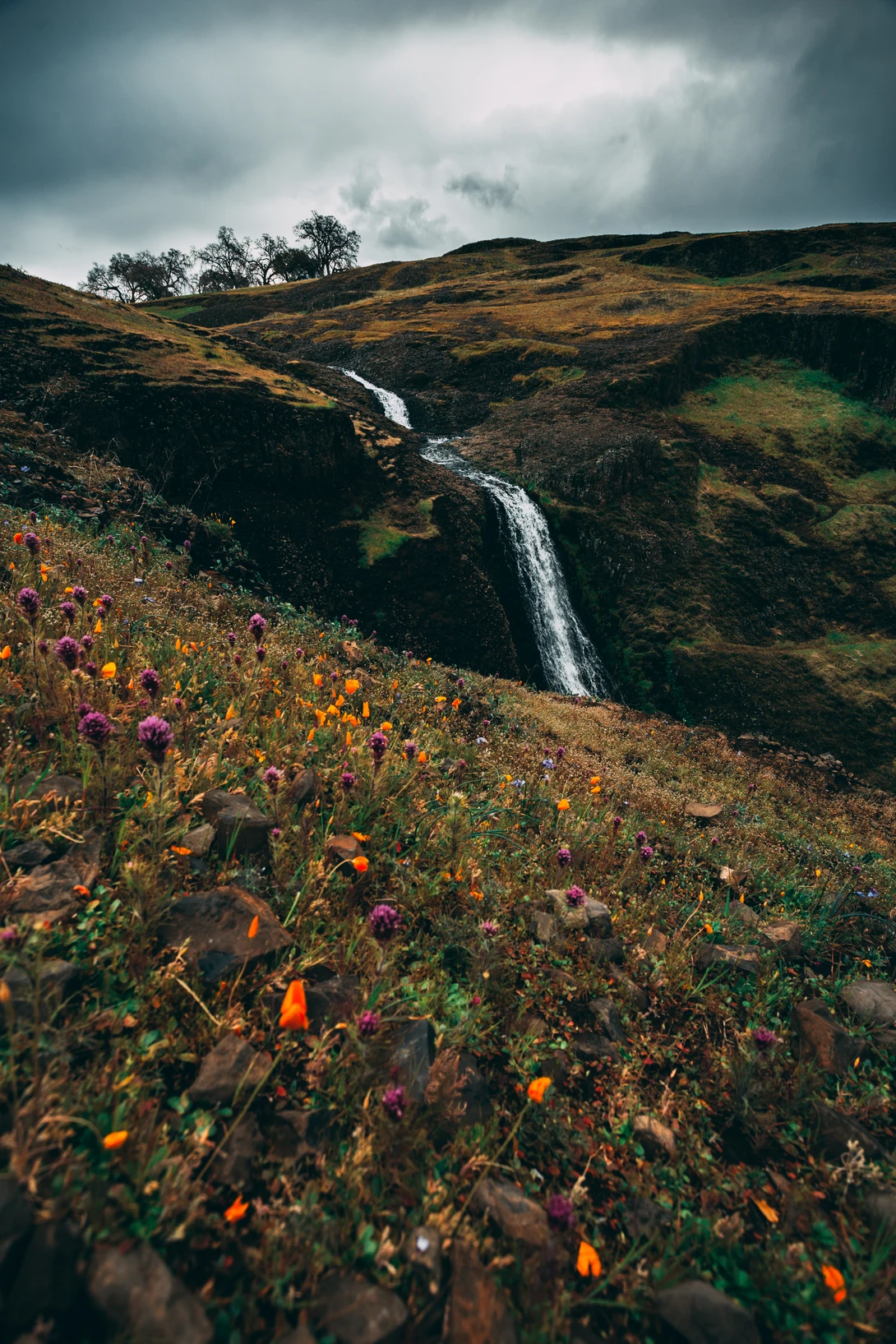View 6221b1d268312a6eb543a9ad5be3116e.jpg by Patrick Keller