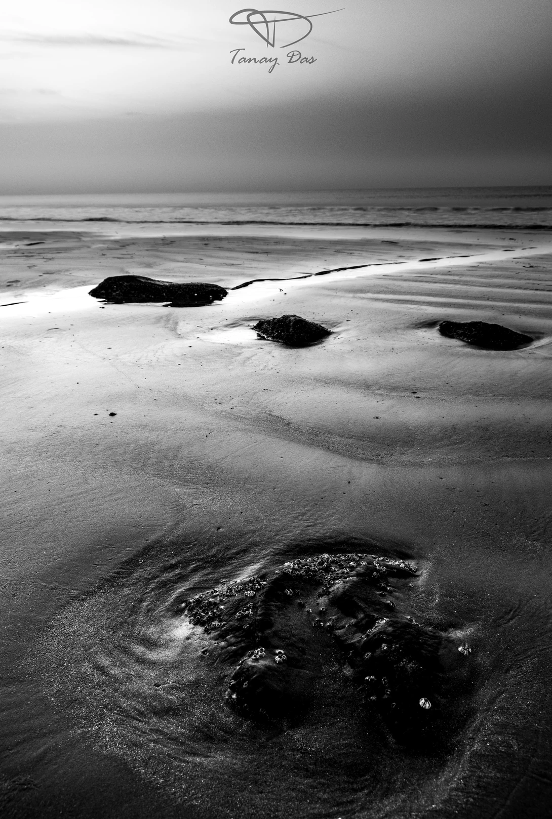 View bf283f8295c646175c2df52a3809d818.jpg by TANAY DAS