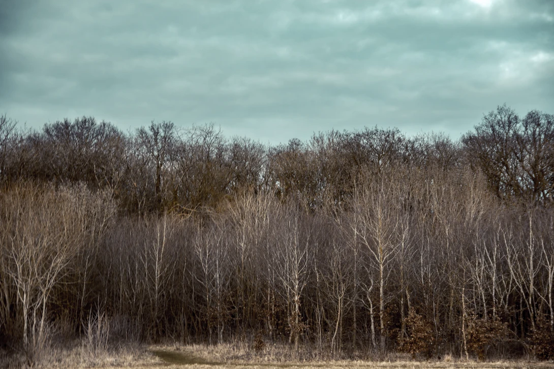 View e8f2c513dbad3cbf398e912771cbe911.jpg by Andrew Hurll