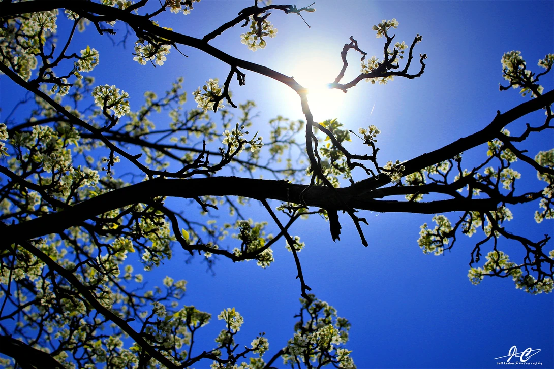 View 7cb5a0c34d11282d89dc9d8c1e94c854.jpg by Jeff Lesher