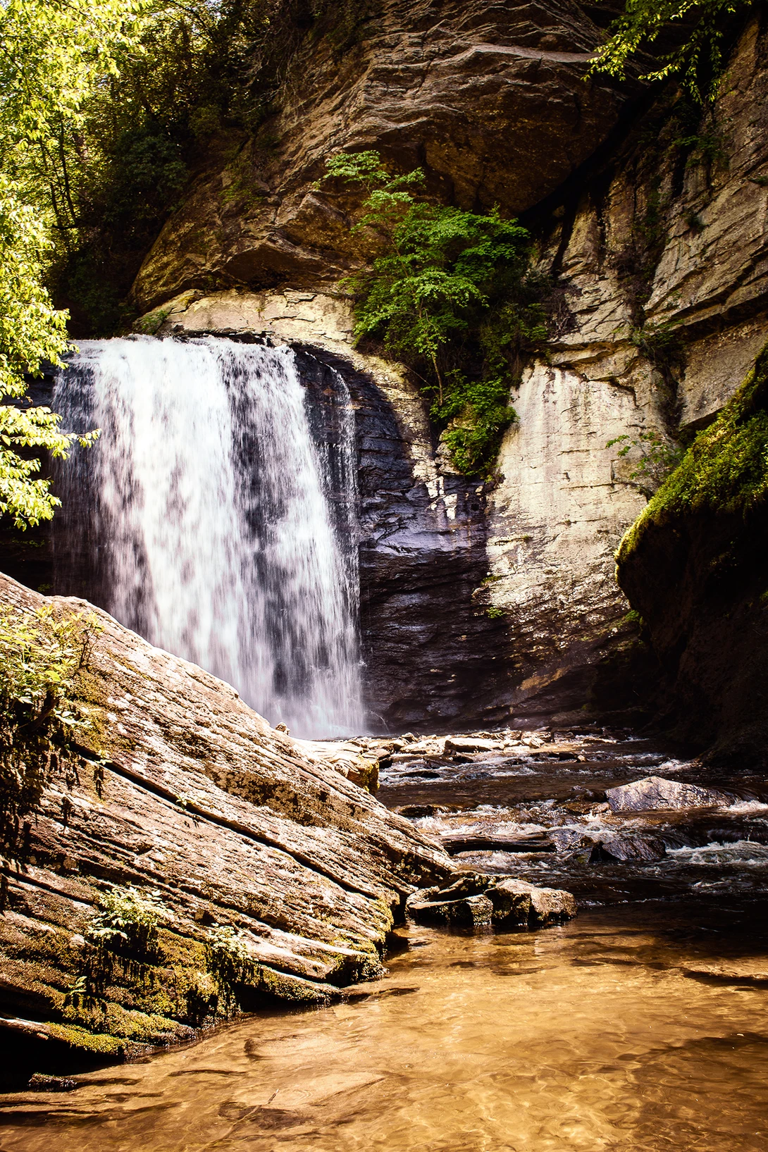 View 7db053821d0345a319a2c2a962aff9ba.jpg by Mark Guinn