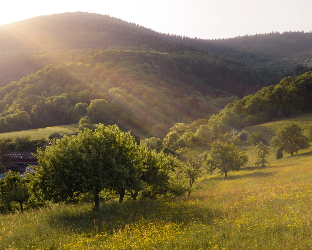 View c64f8c16d8f060a7129c543d4bfe9d71.jpg by Maximilian Sulzer
