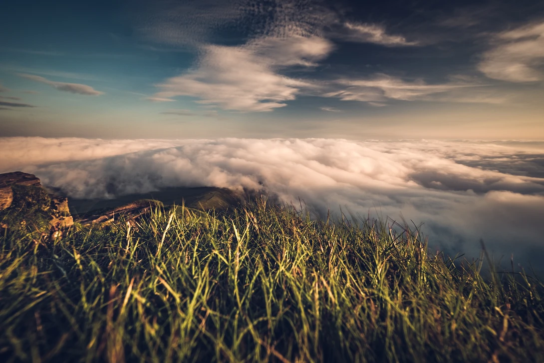 View e5af15febed93417a167ec728d94c318.jpg by Lee Higgs