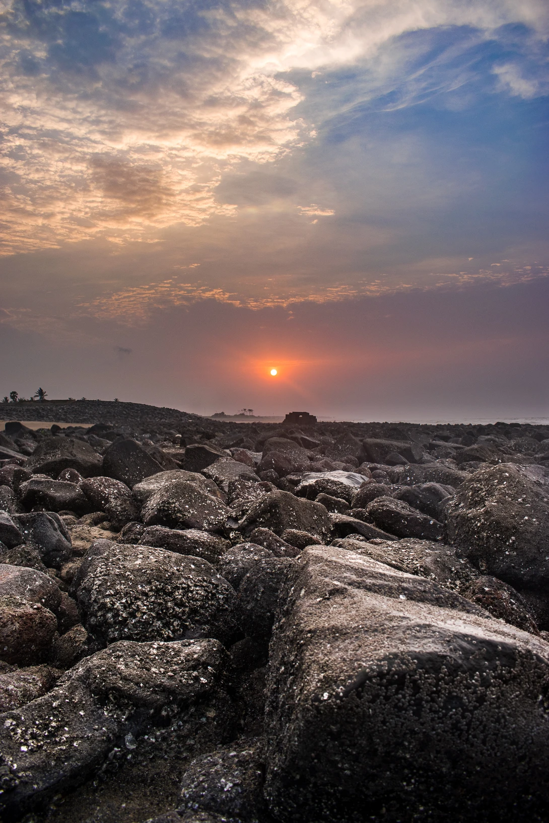 View 10d01324820bbcec137cf08d705dc609.jpg by TANAY DAS