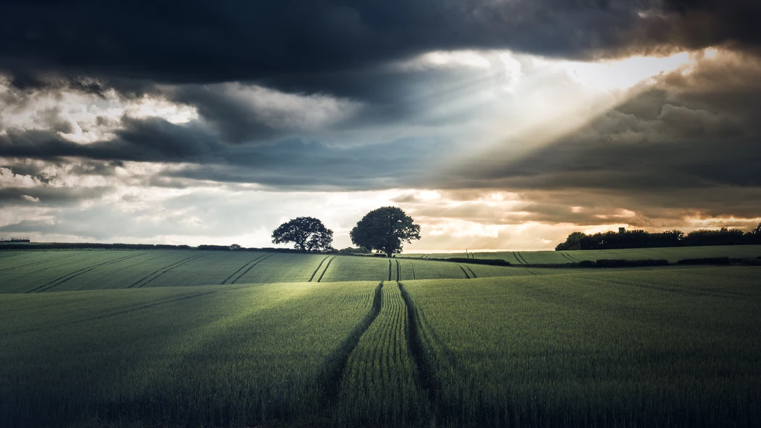 View 19a9ce34cb119f01a389827f24b262ef.jpg by Lee Higgs