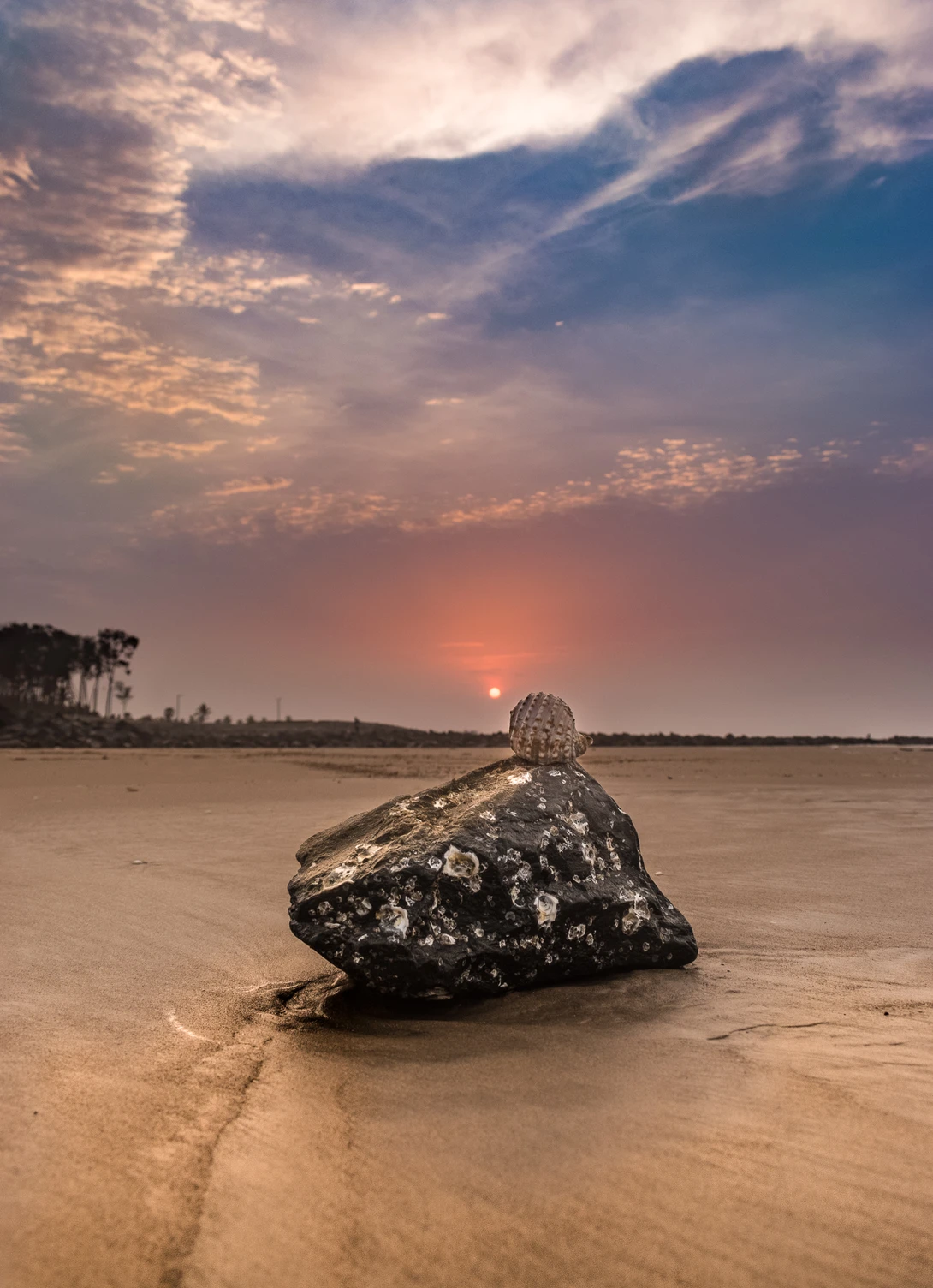 View 36ef915572958610c63d09d6a587d77c.jpg by TANAY DAS