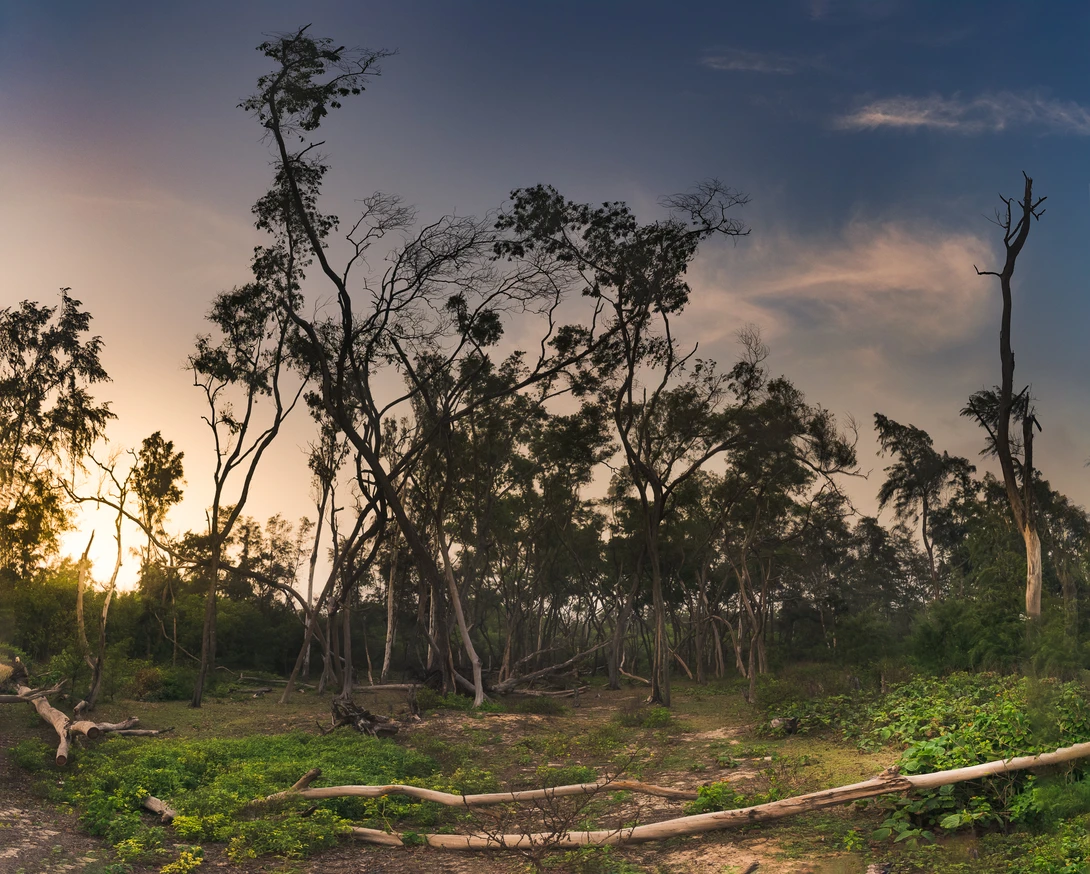View 825a06efa157e577b30b988c54d83805.jpg by TANAY DAS
