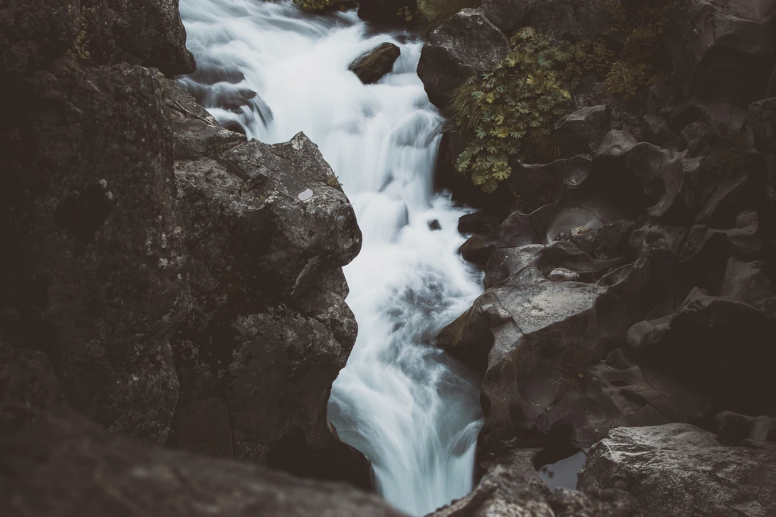 View ae40bf4238707586ac0a3ad95056e49c.jpg by Jordan Borbon