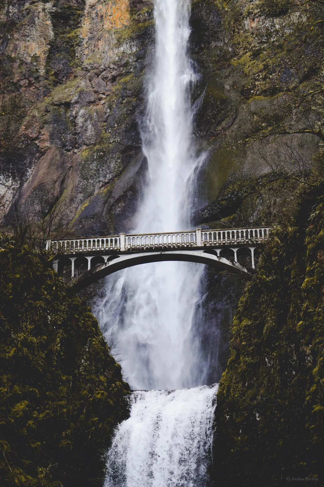 View c636d5ce3b37838f880cd820ccdf11fb.jpg by Jordan Borbon