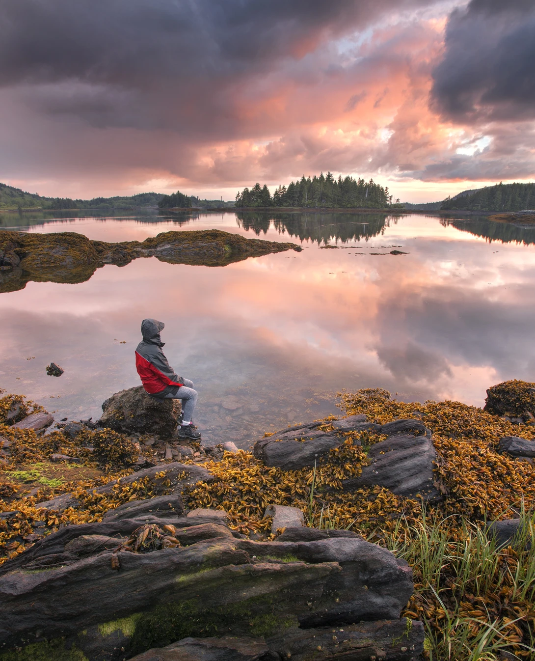 View f3ff8140d47fbb2724b9c721498597b2.jpg by Olga Radzikh