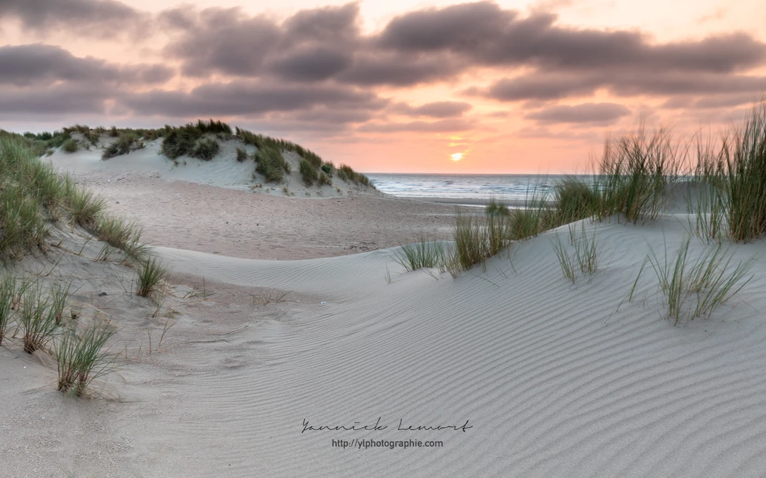 View f913d55c5b0a755fbd25a456da55287e.jpg by YL Photographie