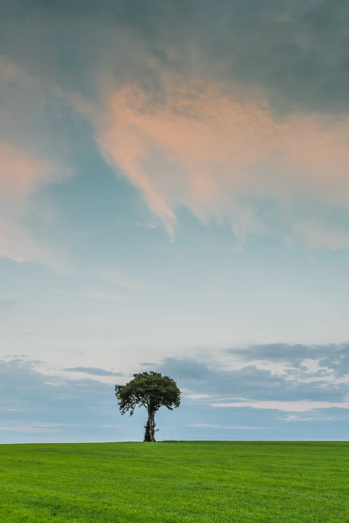 View 4310b96e24bf9dfb8ff5b11bd7de8eb6.jpg by mark mc neill