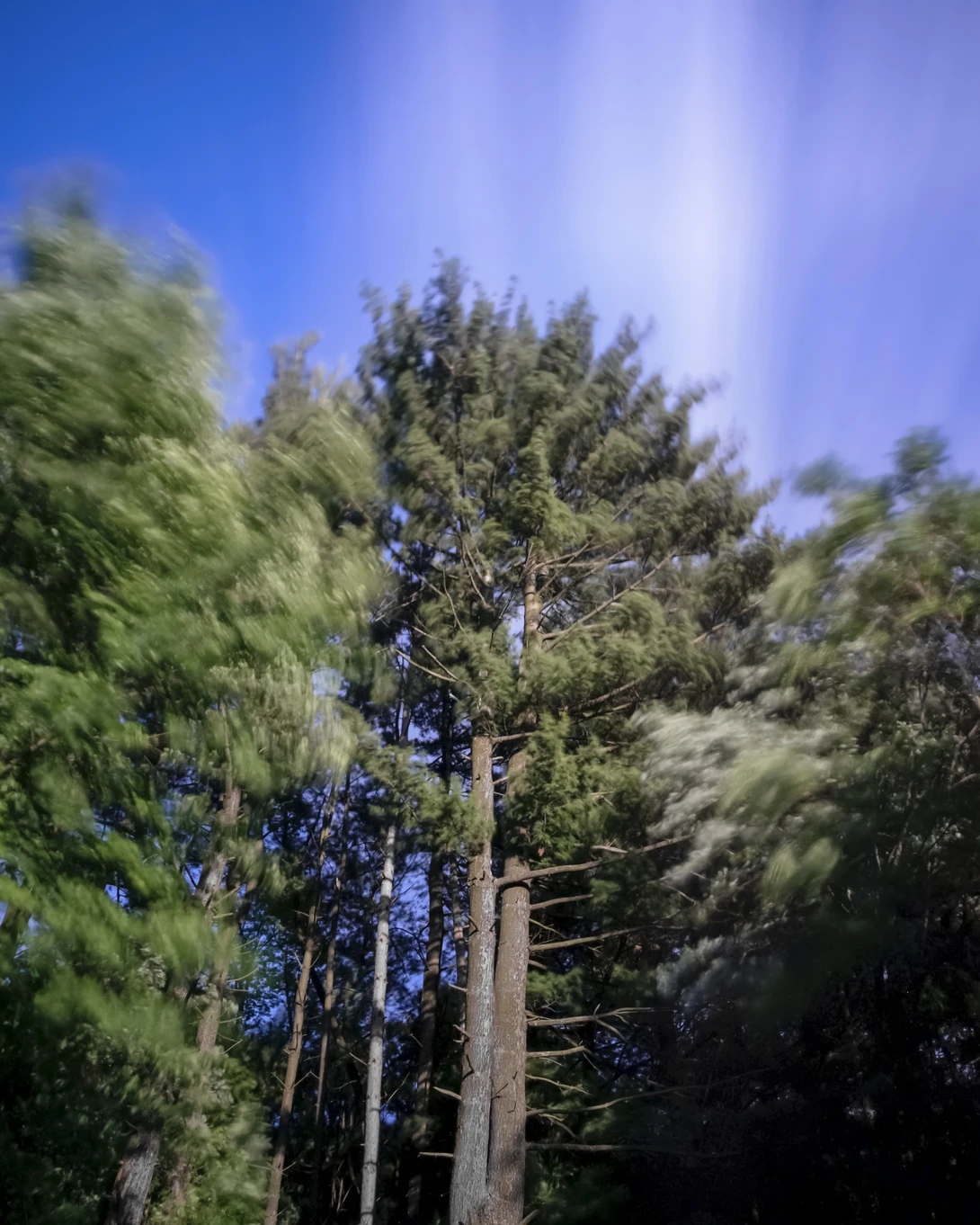 View 791550c5d8c22ee770864b4d46ddddf0.jpg by David Robert