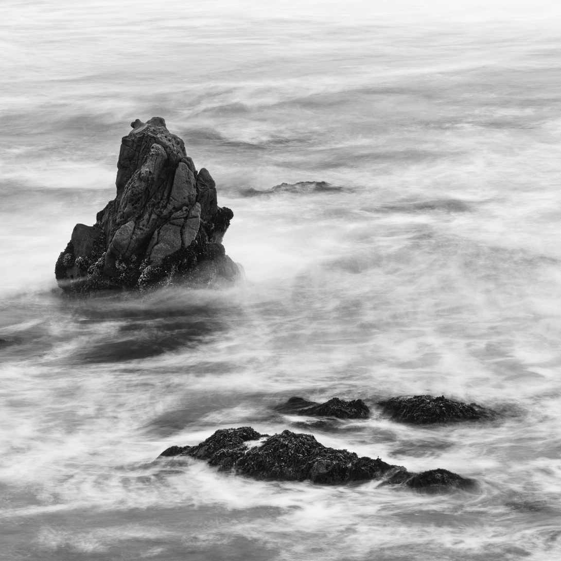 View d97f7a01e0e9fe2e19bd6873925f20a7.jpeg by David Medeiros