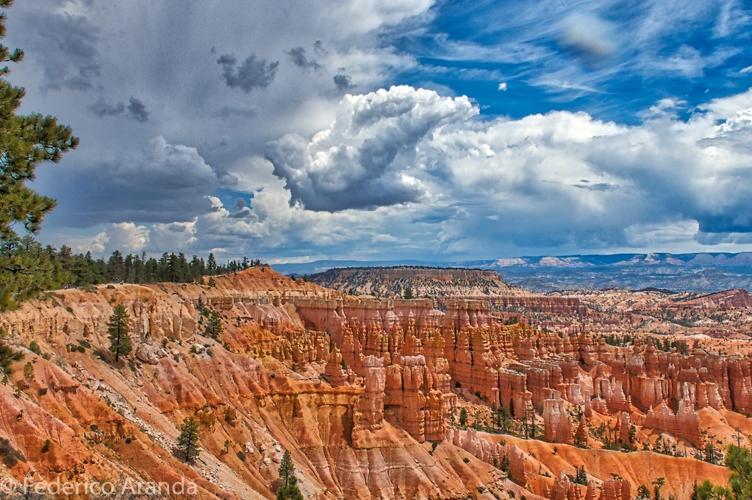 View 0ed43314ff942db79bf9e4d3d7a72c84.jpg by Federico Aranda