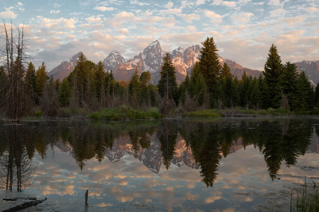 View 50369039a04a95d60f0df70bff13e9ae.jpg by Matthew Potter