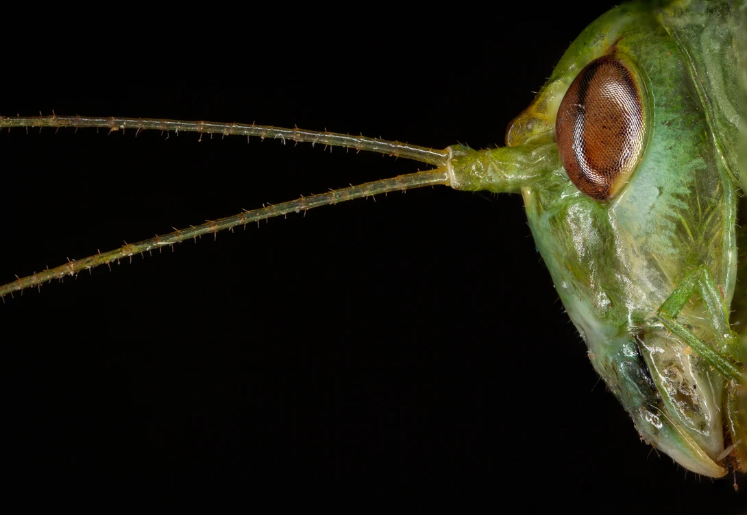 View 64774b3e8b4095712af7cf02e99edff4.jpg by Terry Waggoner