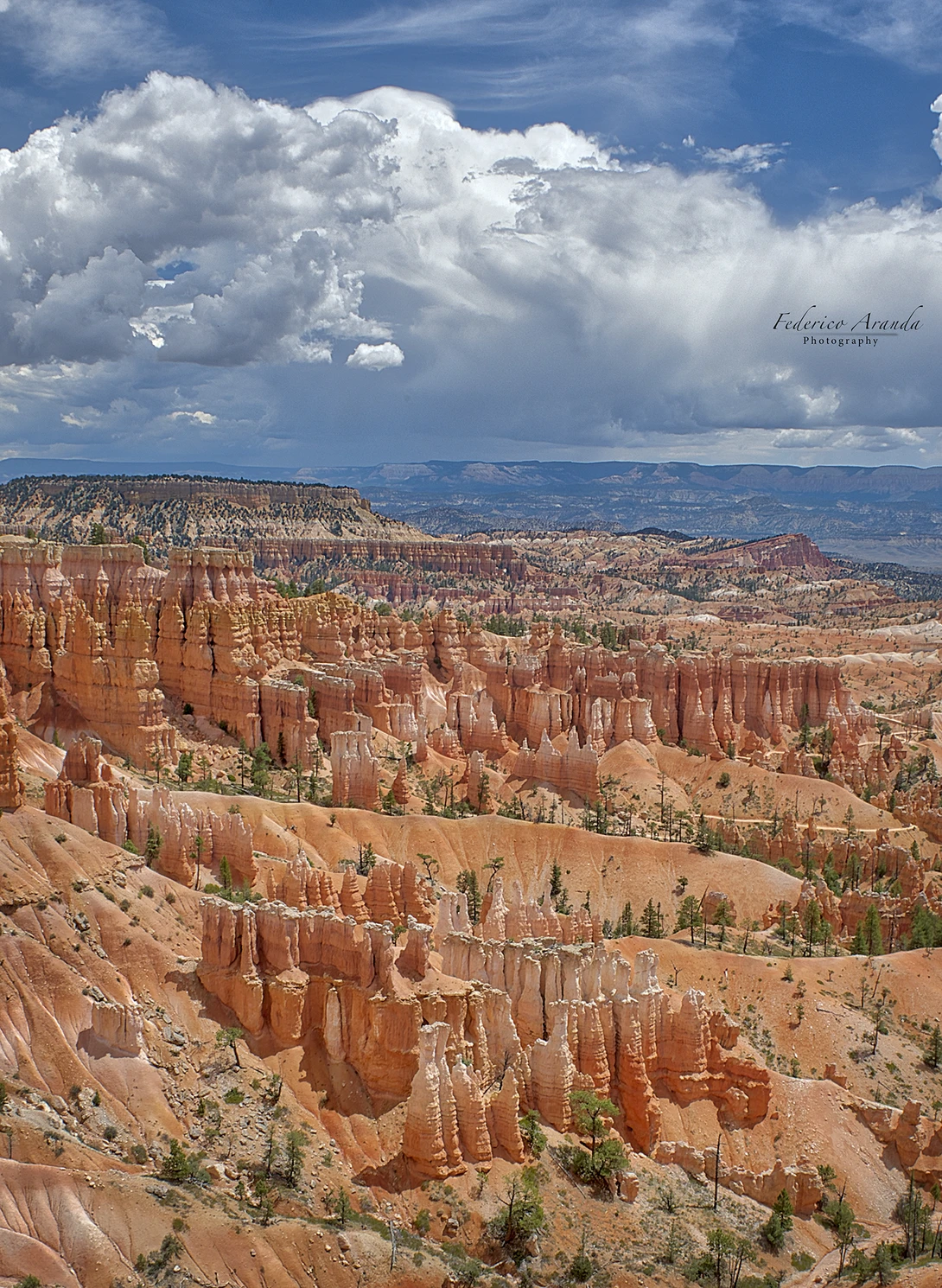 View 879e7b3e134e312ade86345a44cfcc91.jpg by Federico Aranda