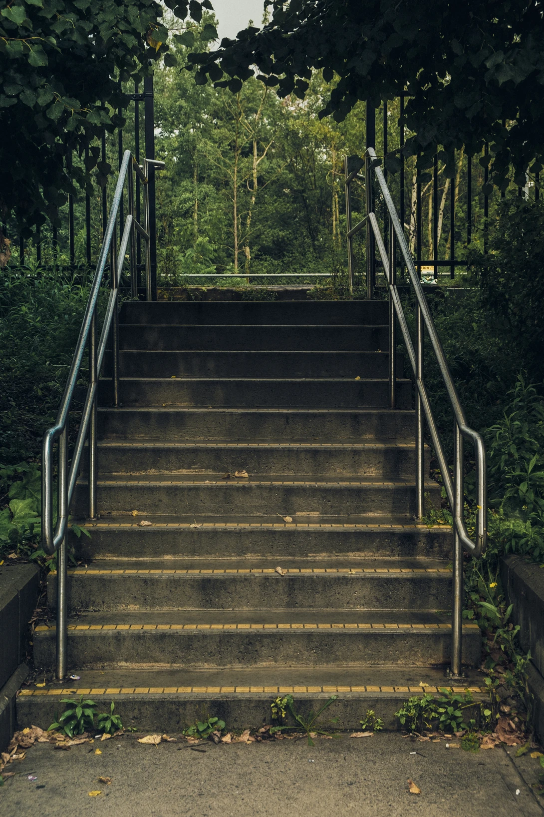 View bc6ee7248c3c955534d0430f08eee39d.jpg by Aous Poules