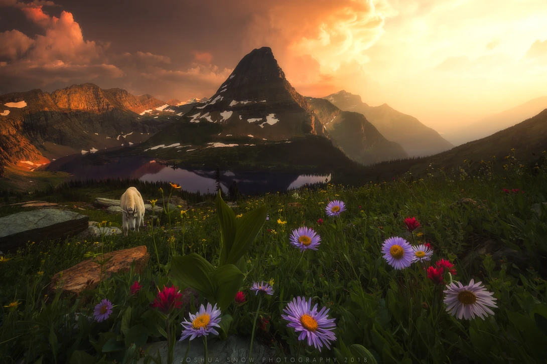 View c37cbe9dd9b7392b7f24e42a72a9d6d9.jpeg by Joshua Snow