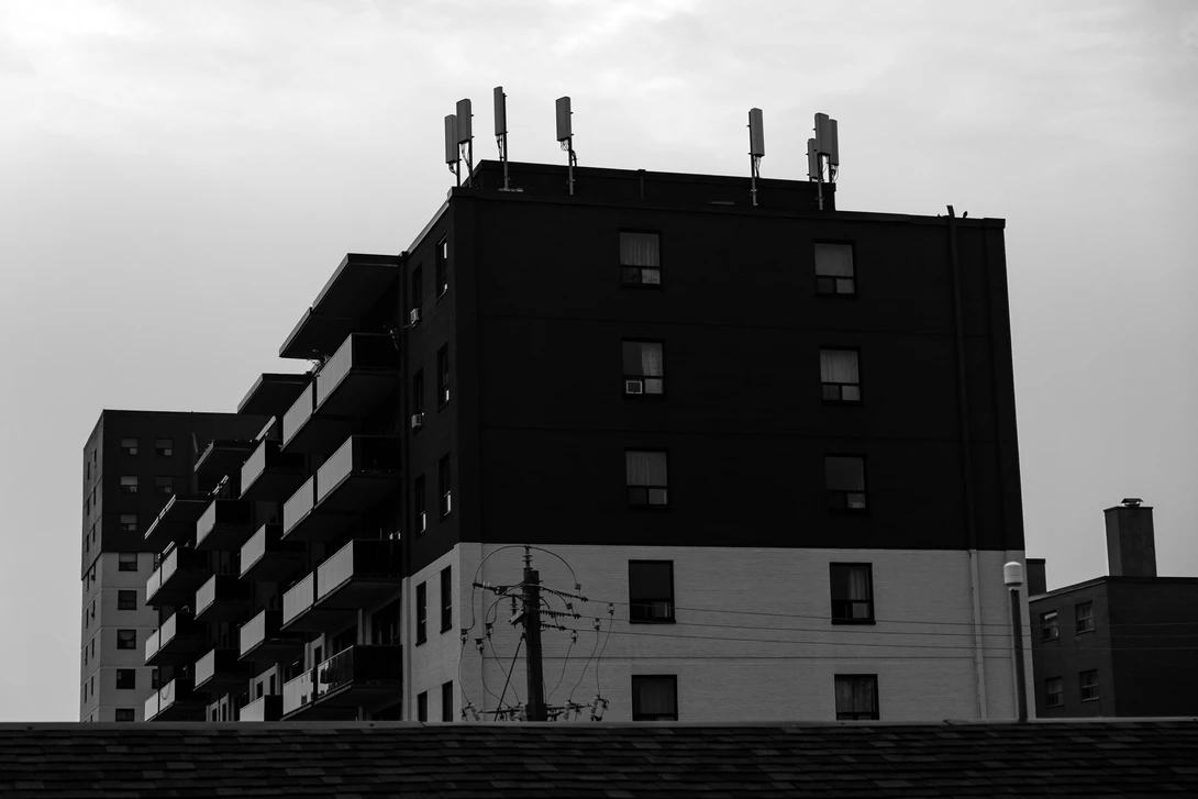 View c81fe1f31196215f4f9392d2902c307a.jpg by Aous Poules