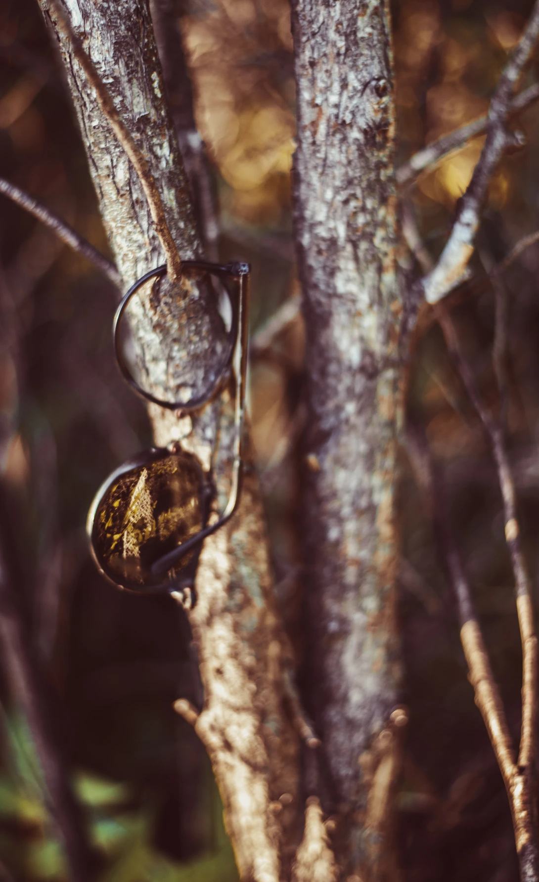 View d4f41235d86a5b05b264bdcec50477bb.jpg by Aous Poules