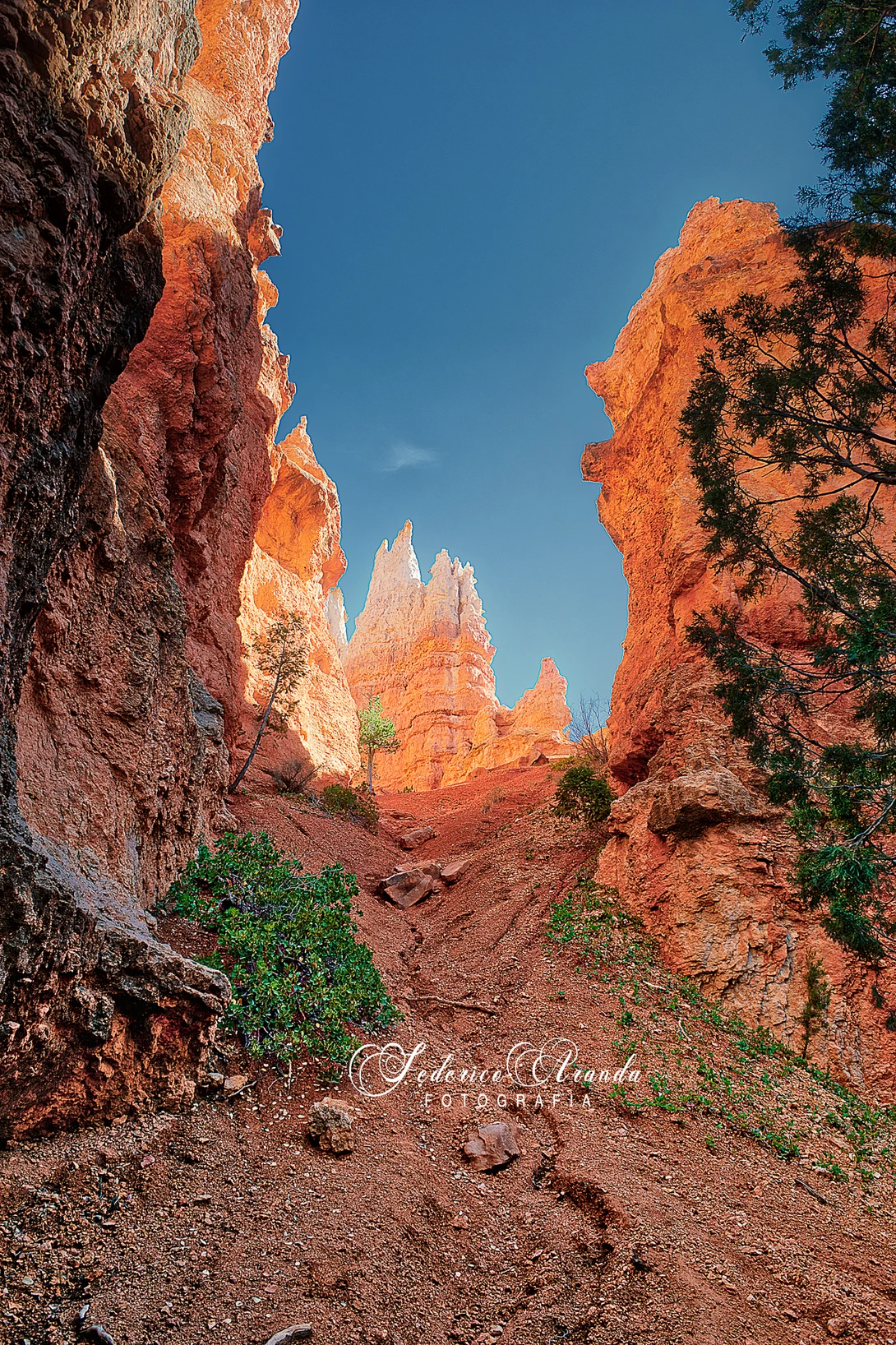 View d81685f999a076e577ba8e9c4bb0bf3f.jpg by Federico Aranda