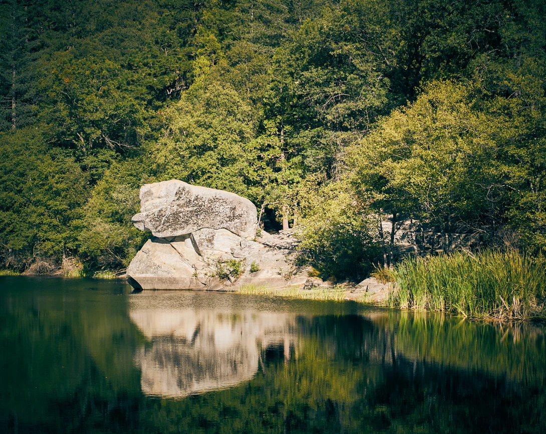 View 043d6d9aa94292277a3c5340e0647019.jpg by Rus Kulinov