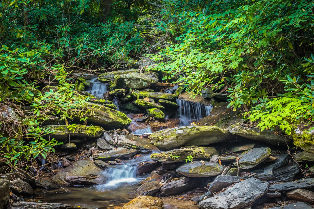 View 0cf5837a0f3592b48fc0d3550d418b73.jpg by Devin Elrod