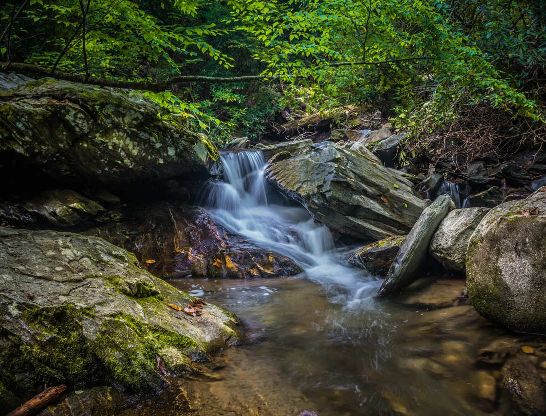 View 1afe123828eb5d55f22f9257b0ab5486.jpg by Devin Elrod