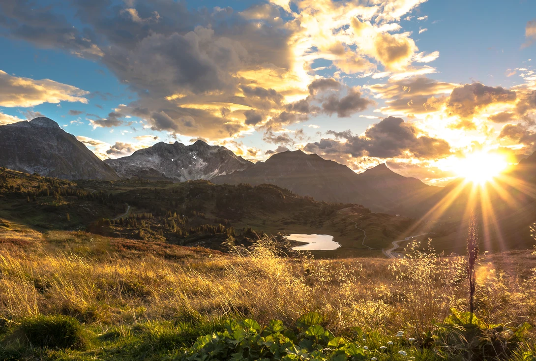 View 238b8b977252aaf2cf73ab2f4cff3f26.jpg by lee qid