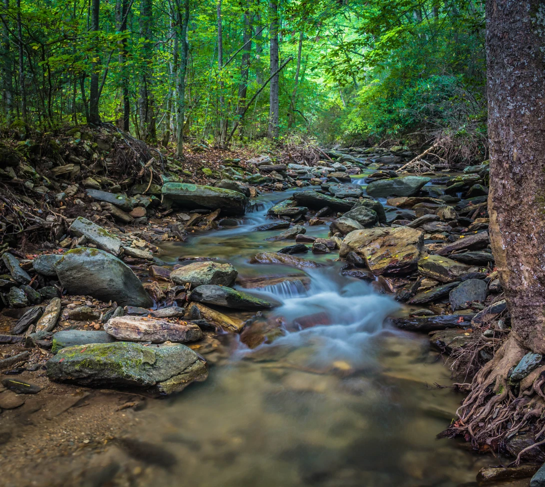 View 267590f2ab7ea5bfae7532644d5fab07.jpg by Devin Elrod