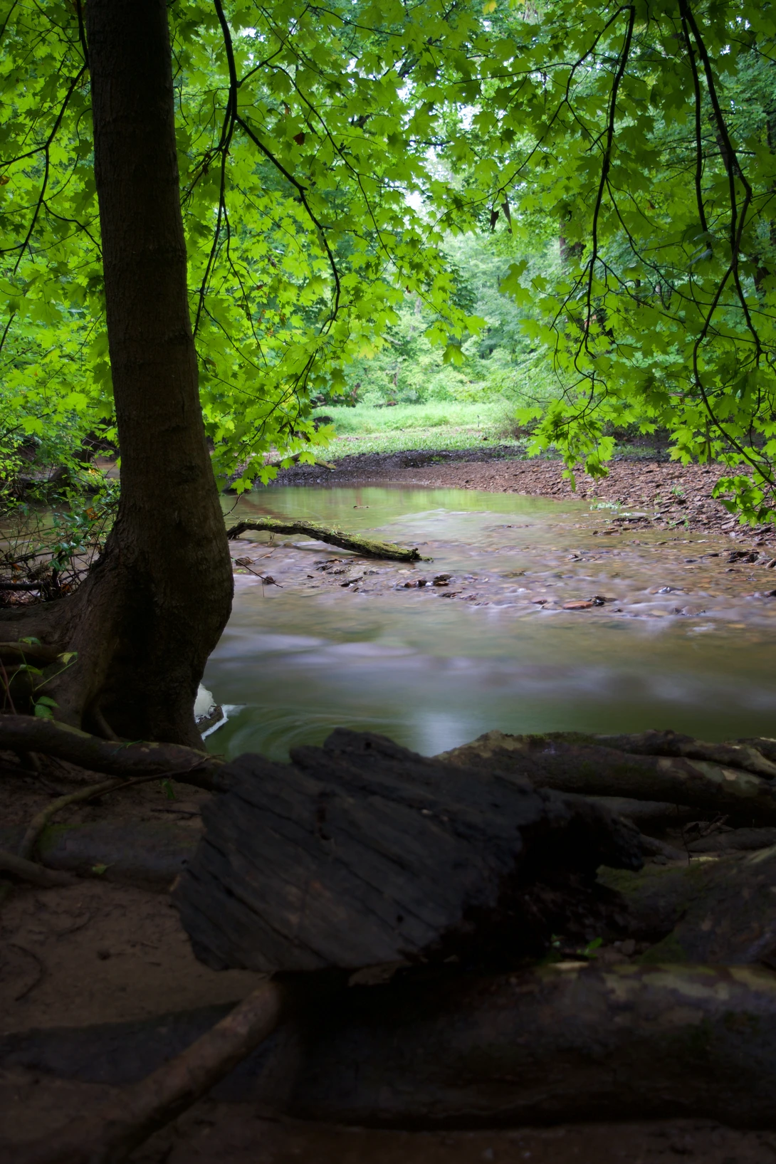 View 2febca128405c38b1cff74e7d915795c.jpg by joseph cole