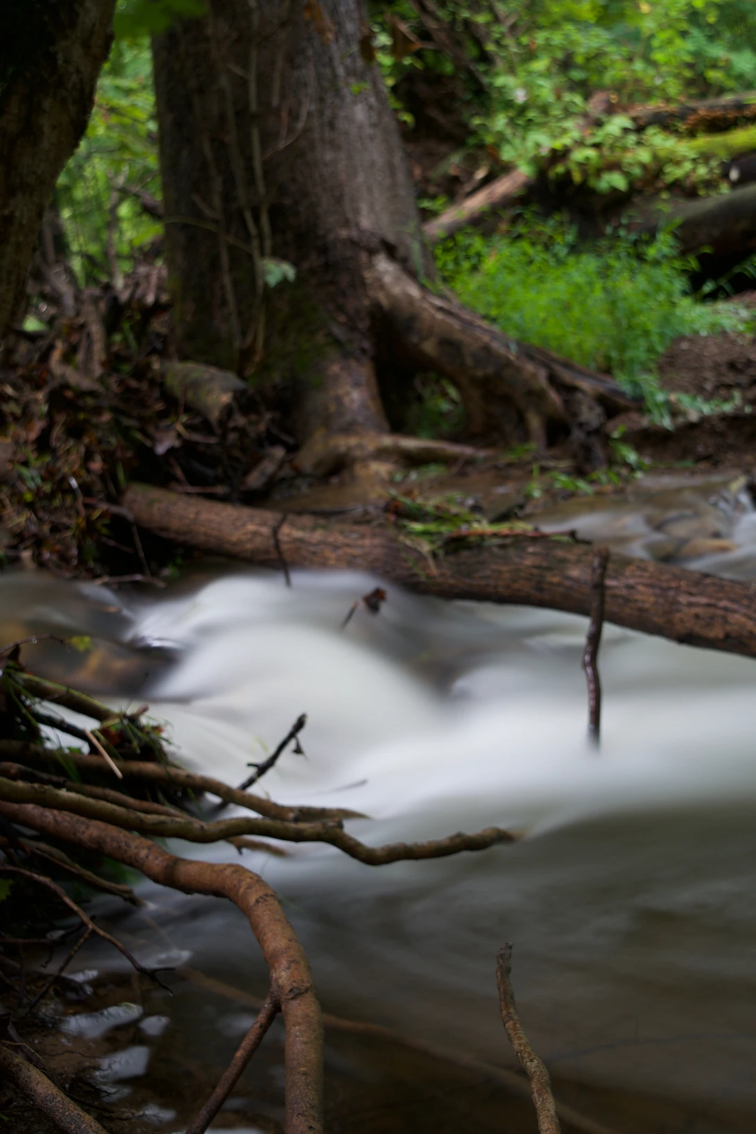 View 343542c47c288490ee316d84663393d7.jpg by joseph cole