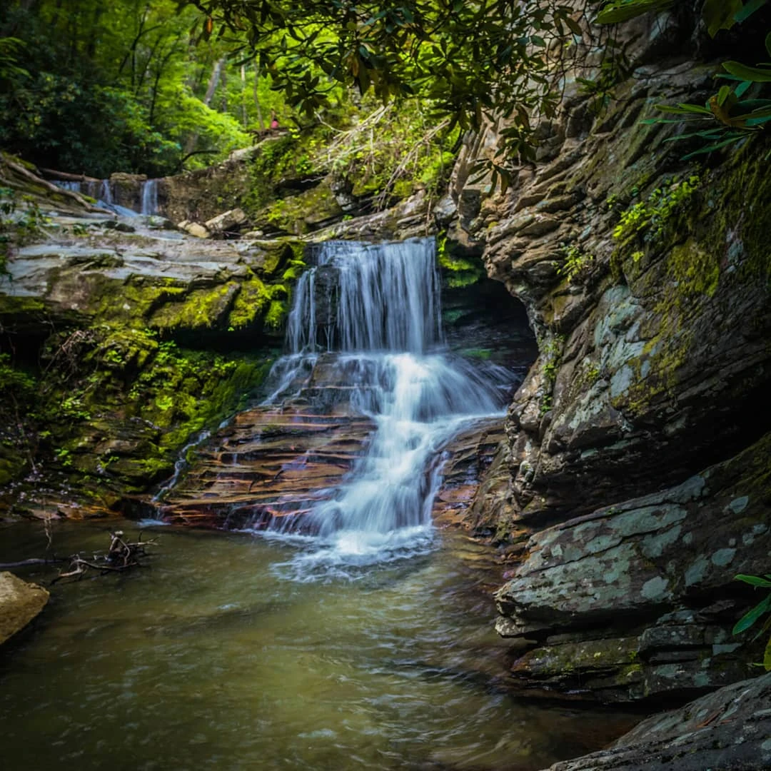 View 43aeb107afb0212255fd9e1a32e371b3.jpg by Devin Elrod