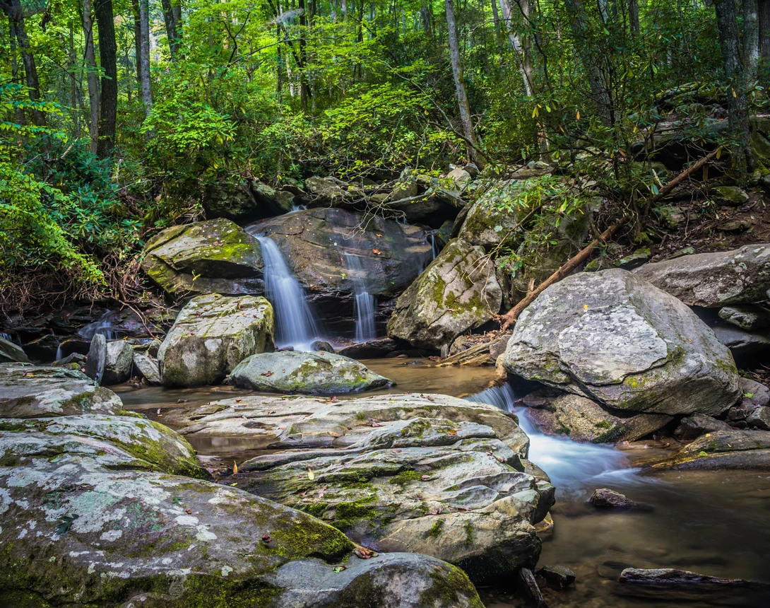 View 48a701ad7ea9ae3946213379d4171e46.jpg by Devin Elrod