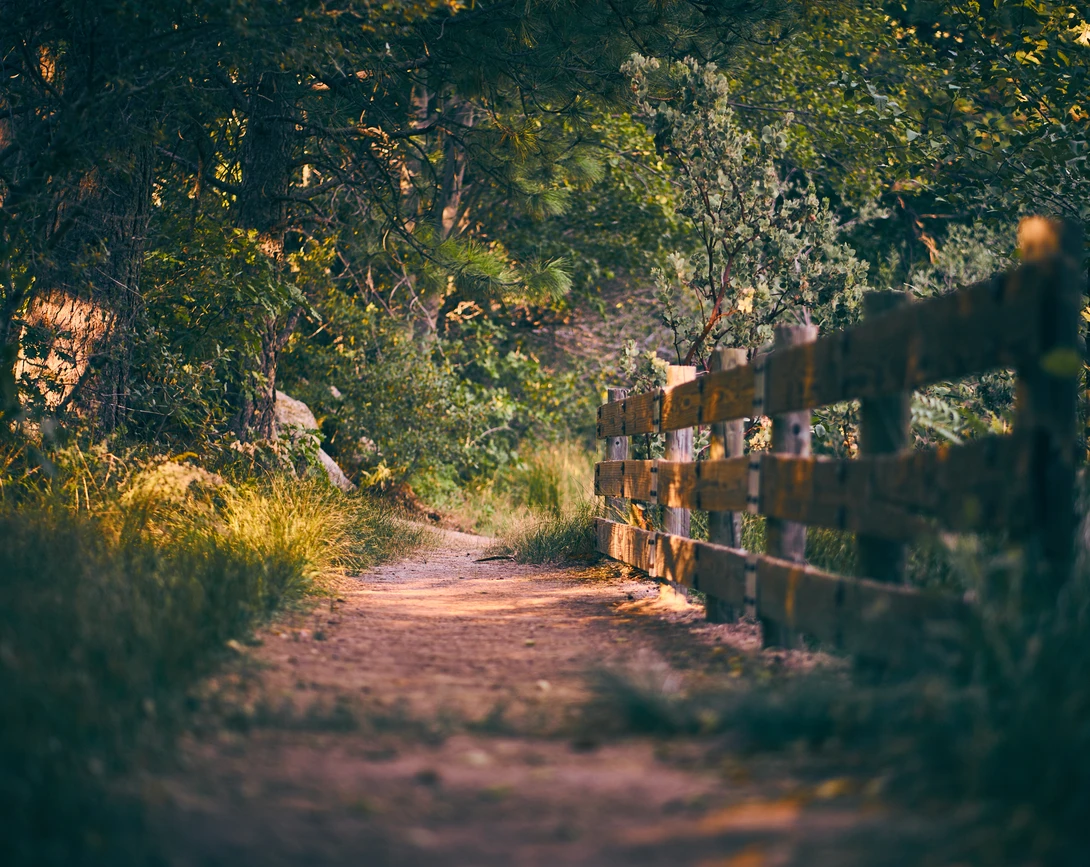 View 5748261c255a798a87309e76028a3dab.jpg by Rus Kulinov