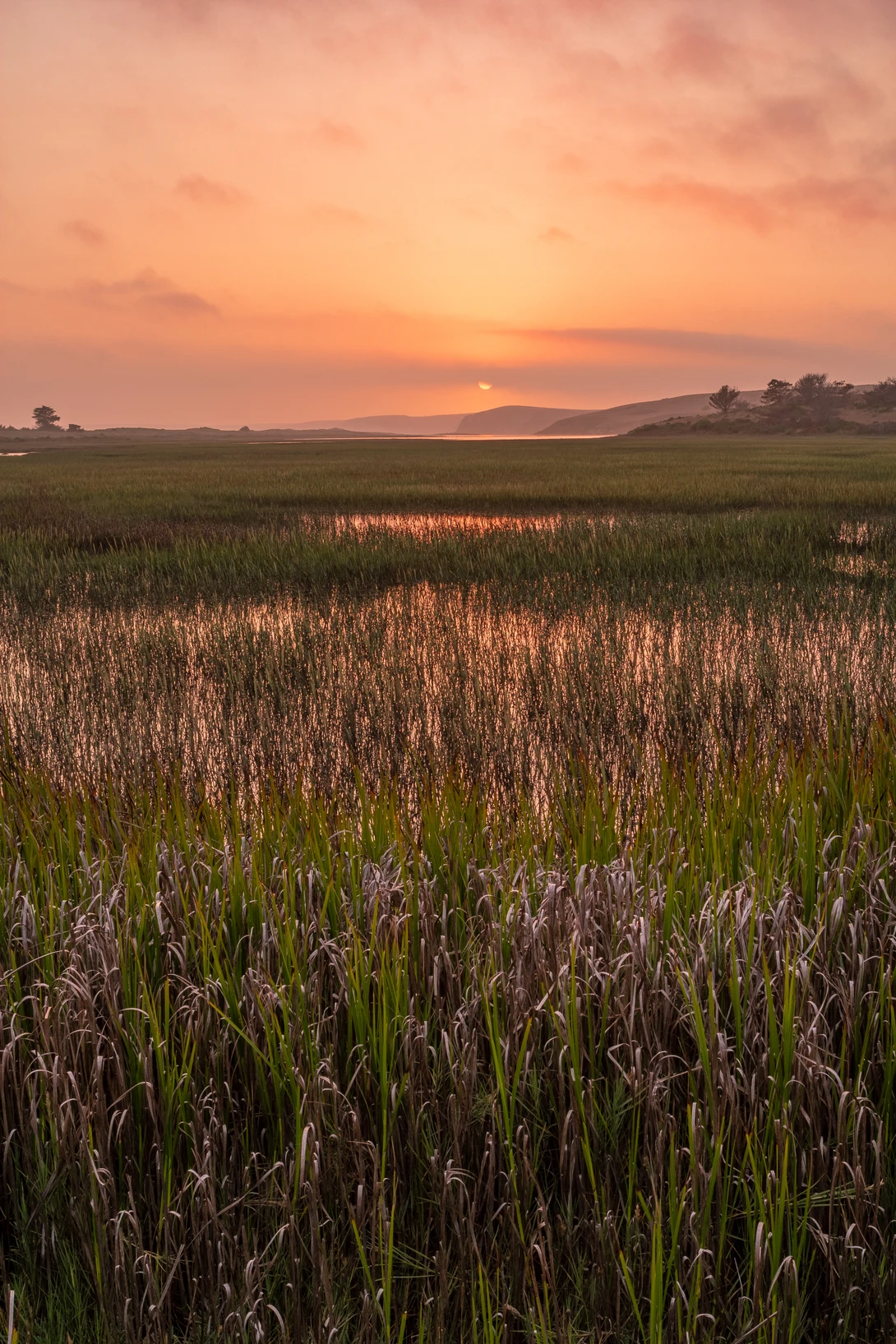 View 66be8f1ab13f8c275cb2ed327bb107f1.jpg by Walker Lambert