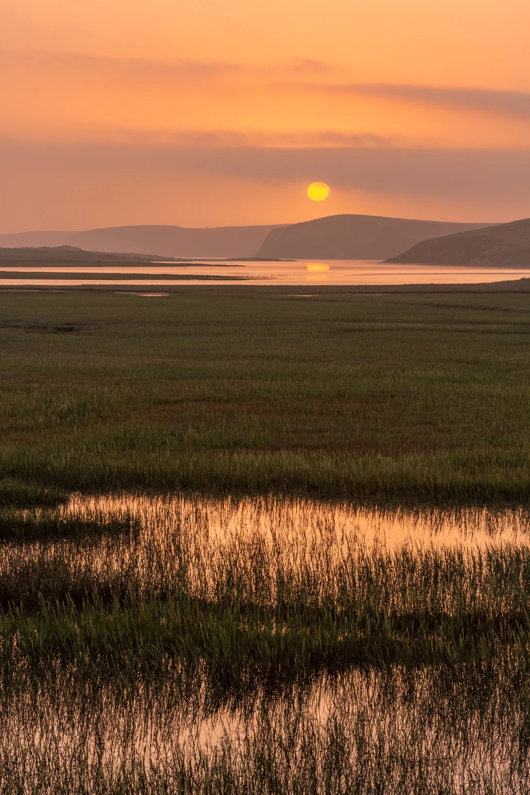 View 828883146d876653259a1377bec295ed.jpg by Walker Lambert