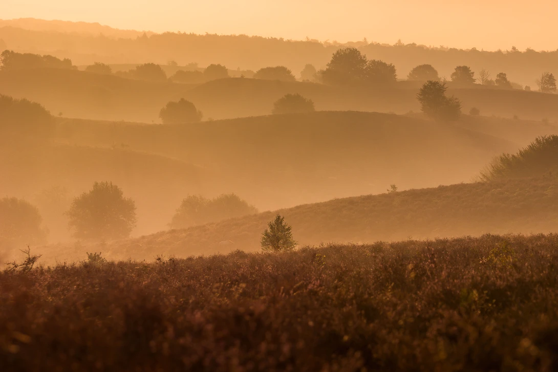 View 843852ff7a808b42a1e028601019eb50.jpg by Remy De Canniere
