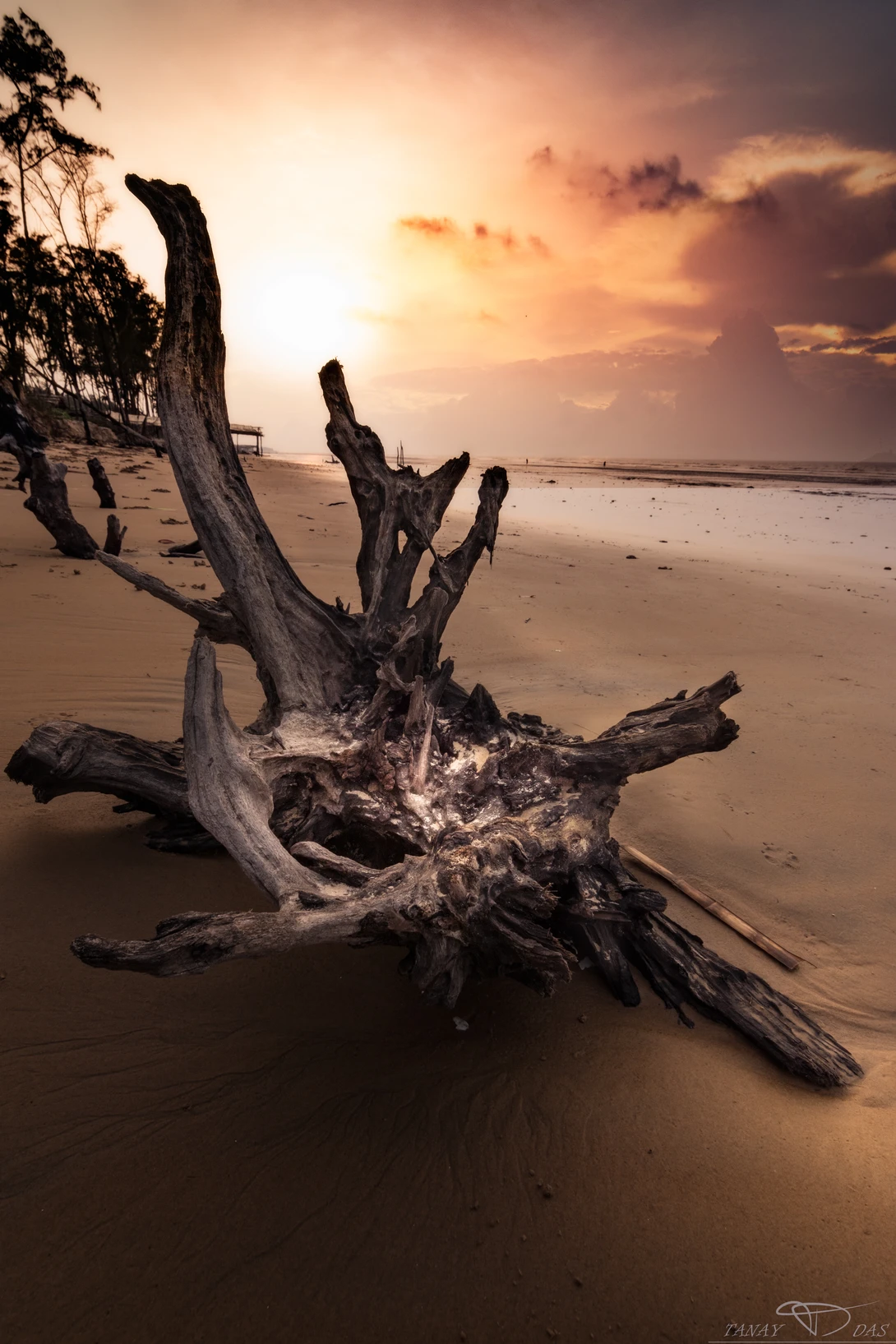 View 850d4d22a93bbdd377da821d3178c6e6.jpg by TANAY DAS
