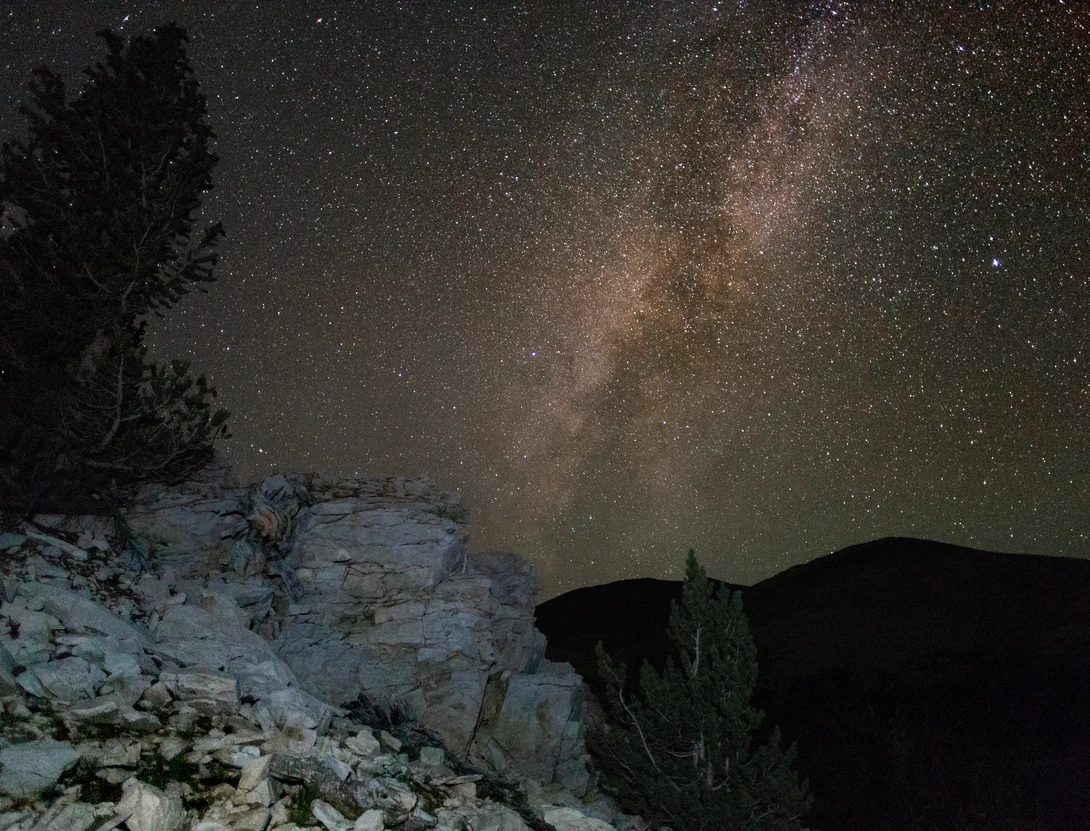 View 87ed2b3c64d18c47295e471a393633af.jpg by Dillon Murphy