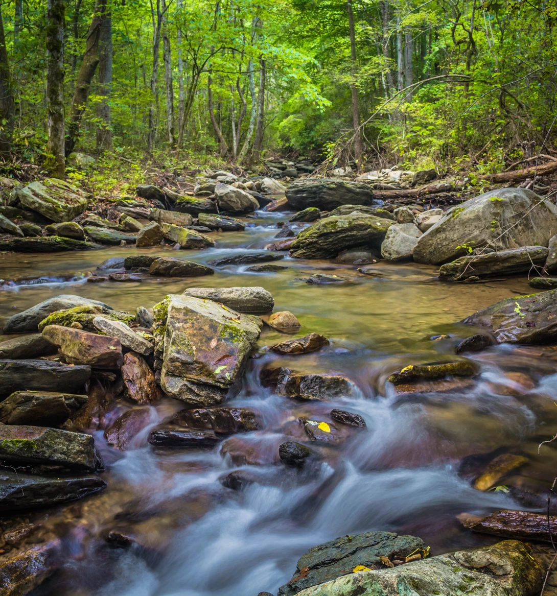 View 93b8d61902e7f1258f2175d224028960.jpg by Devin Elrod