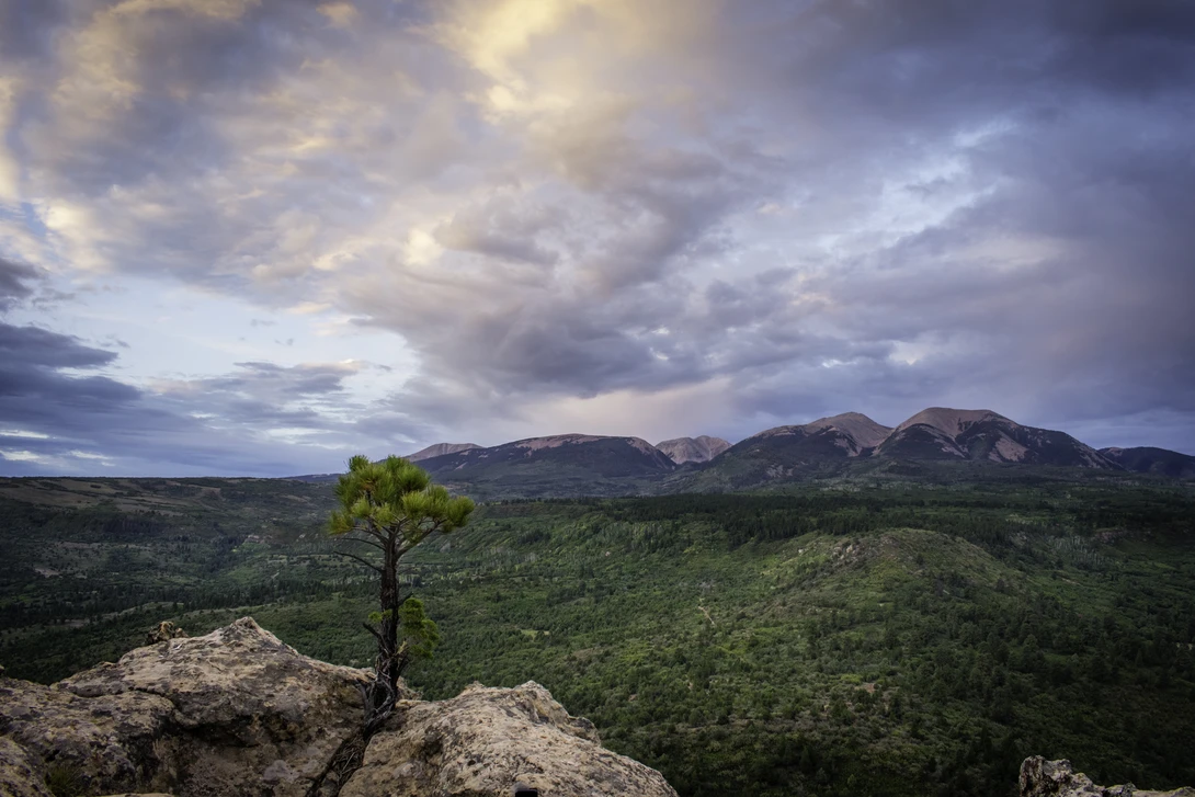 View Sunset in the La Sal Mountains by William Van Schepen