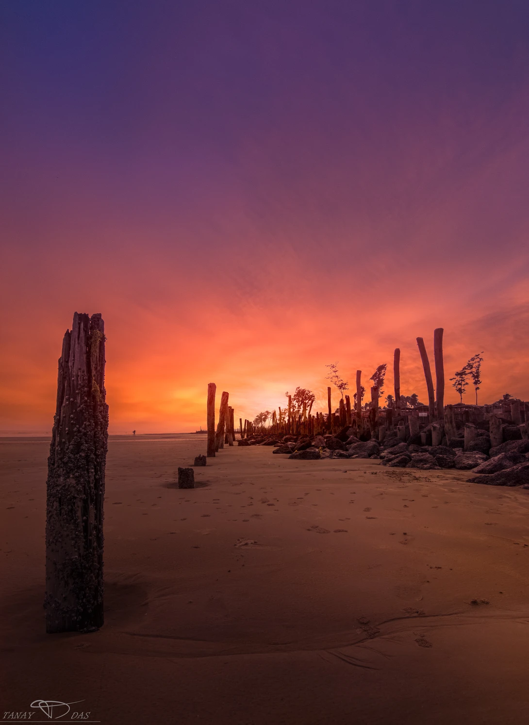 View a866ce337ac3286dcc494d588e6c6fcd.jpg by TANAY DAS
